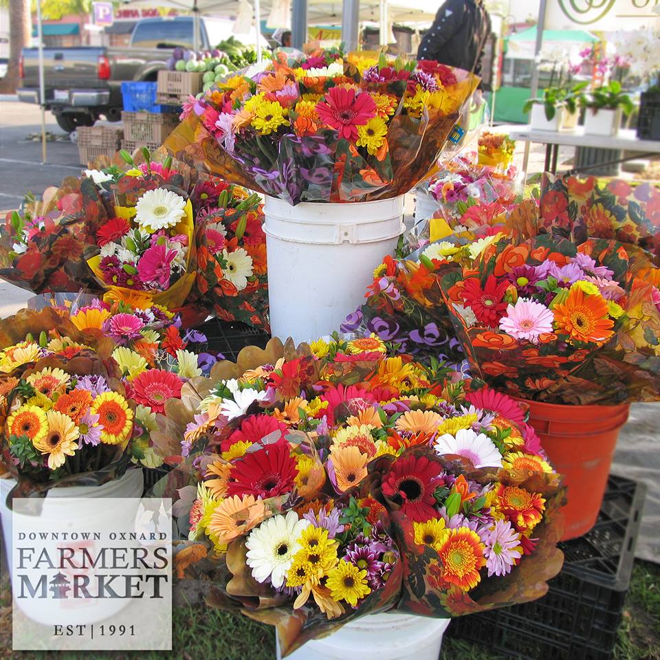 FarmersMarket Oxnard 2