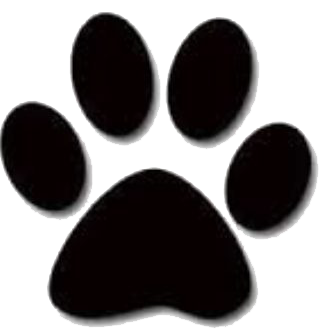 cropped paw copy