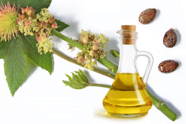 Castor oil1