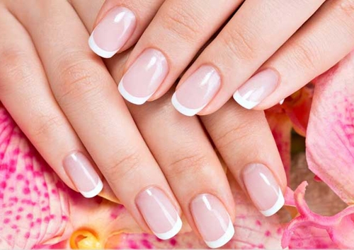 Cuticles