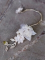 3DriedFlower EarCuff